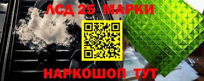 шишки Нарткала