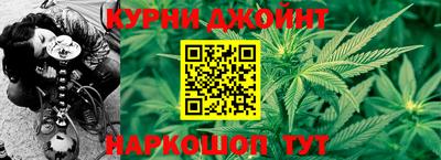 шишки Нарткала