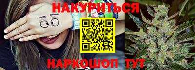 шишки Нарткала