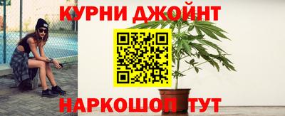 шишки Нарткала