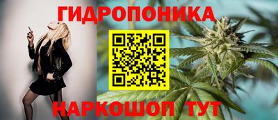 крисы Наро-Фоминск
