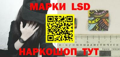 шишки Нарткала